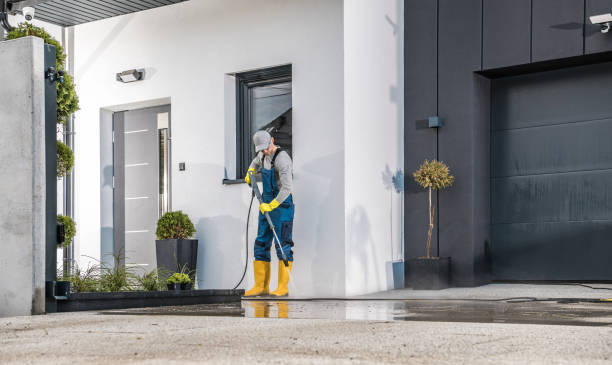 Best Driveway Cleaning and Restoration in Lake City, PA